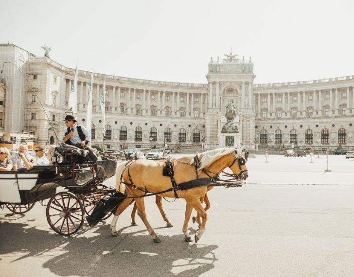 Take-a-Trip With Horse and Carriage Through Vienna