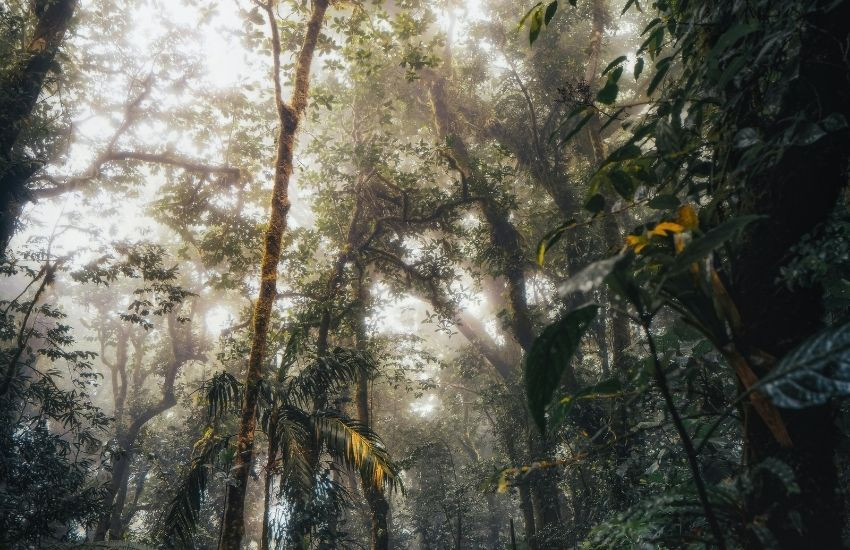 Monteverde - Costa Rica