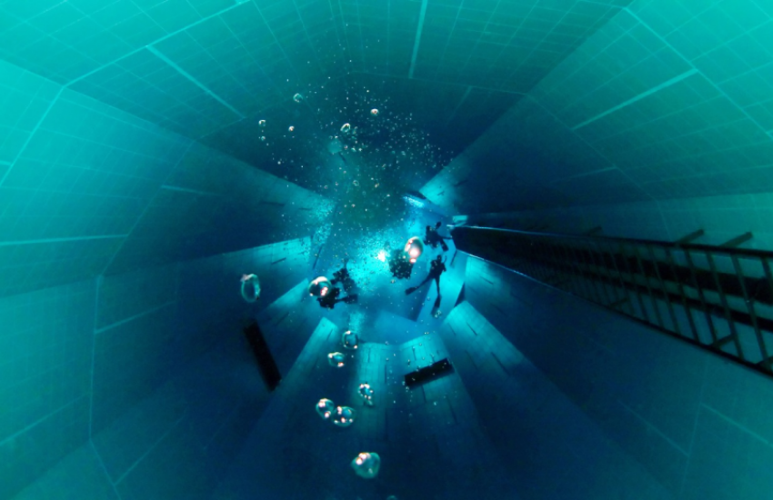 2. Nemo 33