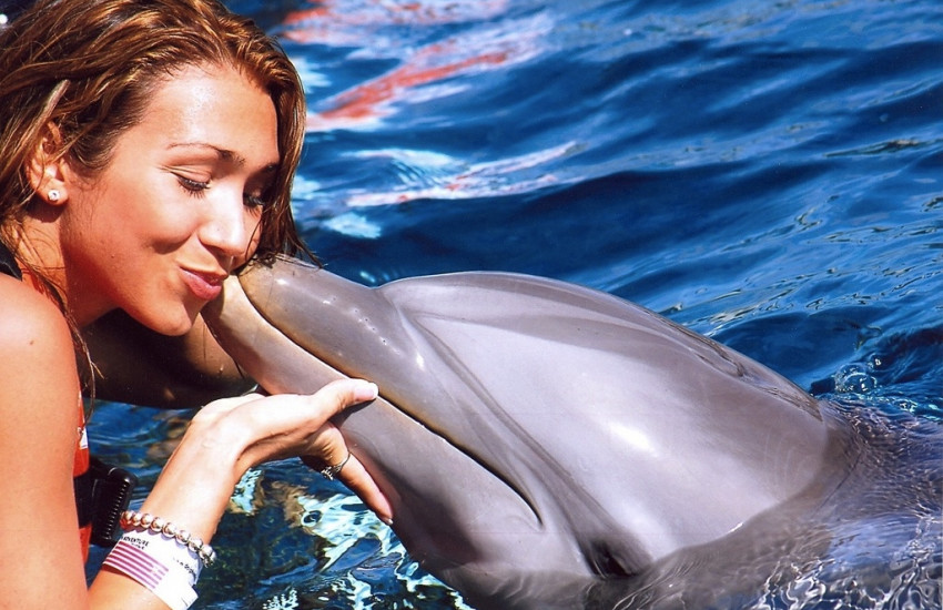 In Portugal kan je met dolfijnen zwemmen