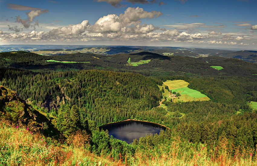 Zwarte Woud, Duitsland