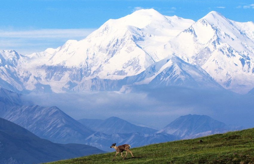 Mount Denali (Alaska)