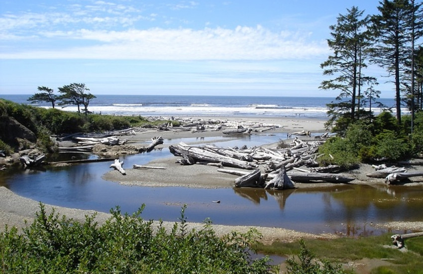 Olympic National Park, Washington