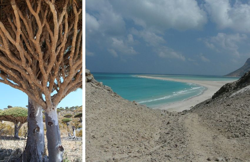 Socotra Island