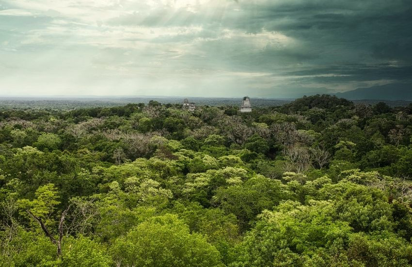 Tikal - Guatemala