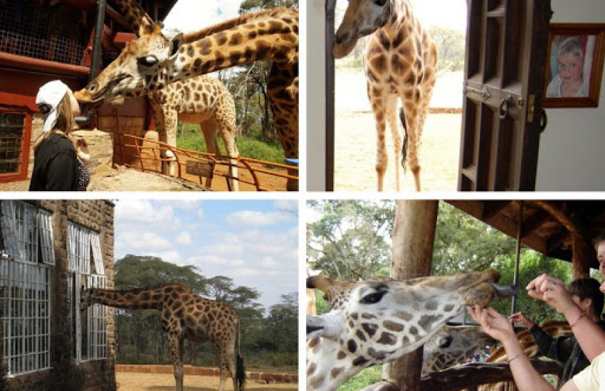 Giraffe Manor (Kenia)