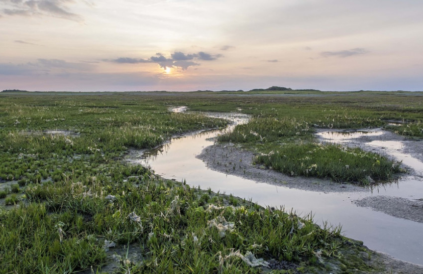 Waddeneilanden, Nederland