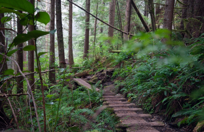 West Coast Trail, Vancouver Island (Canada)