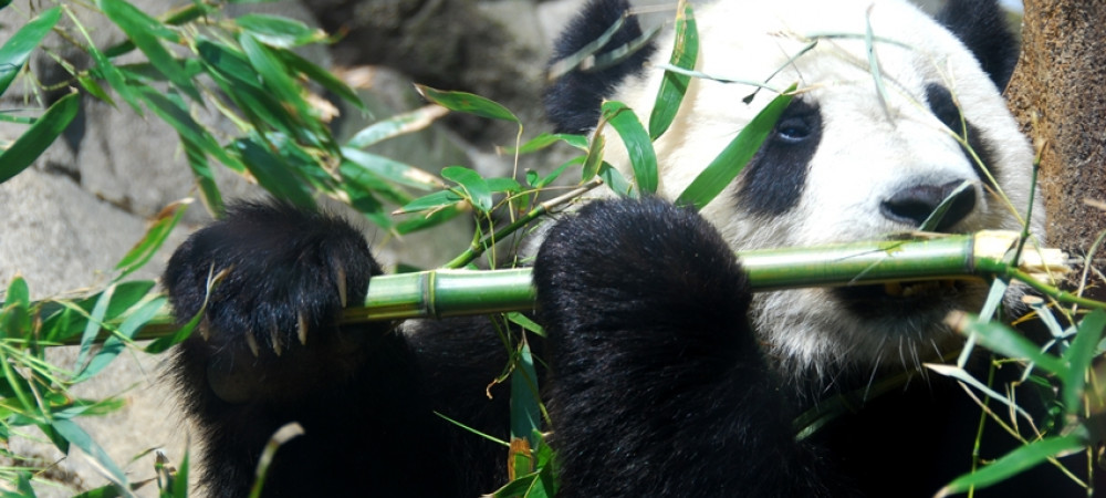 7 geheime plekjes in Beijing