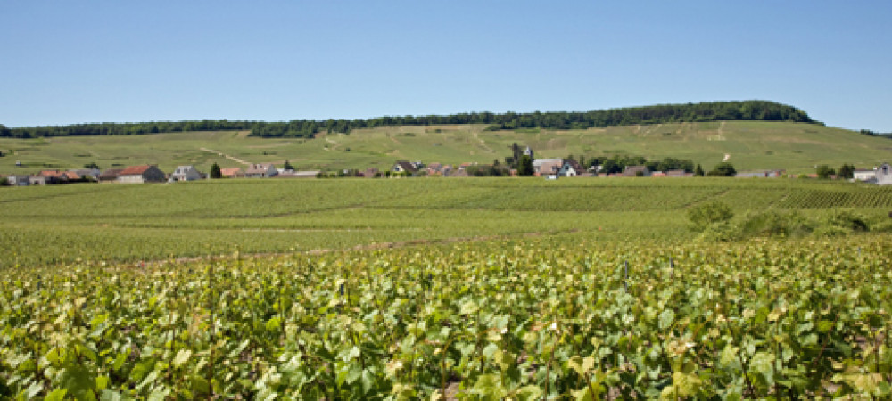 Een weekendje in de Champagnestreek