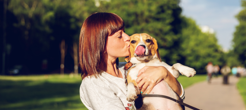 De beste plekjes voor een lange wandeling met je hond