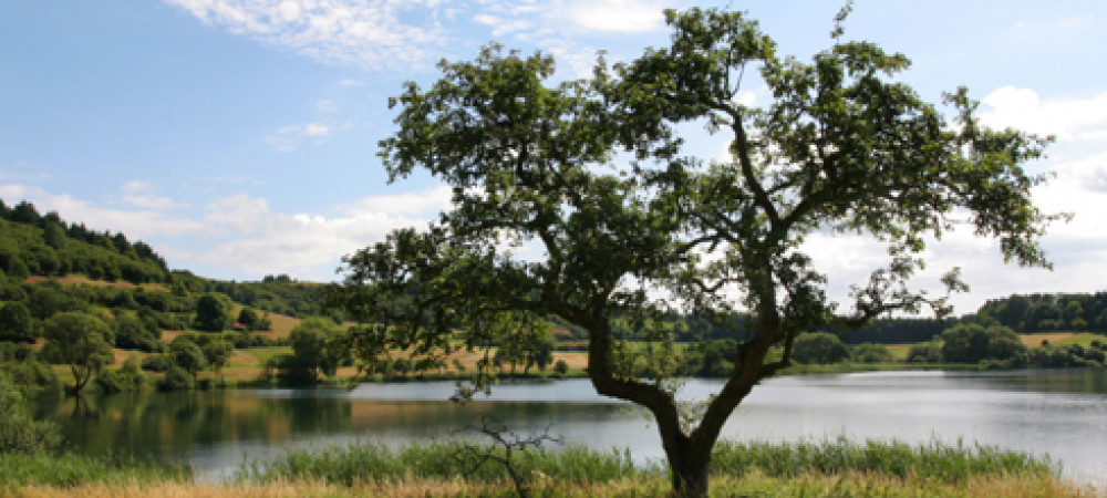 Een actieve vakantie in de groene Eifel
