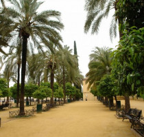 Weer en klimaat in Córdoba