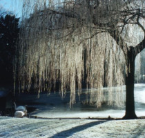 Weer en klimaat in Brugge