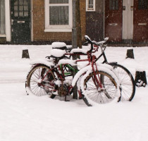 Weer en klimaat in Amsterdam