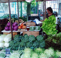 Winkelen en shoppen in Rio de Janeiro