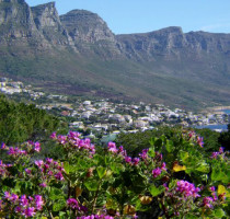 Weer en klimaat in Kaapstad