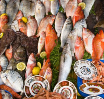 Eten en drinken in Casablanca