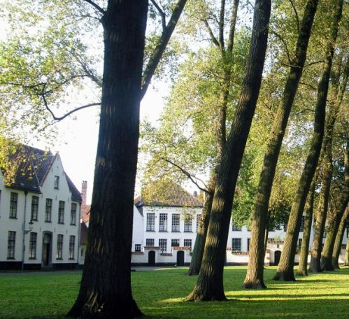 Bomen in het Prinselijk Begijnhof