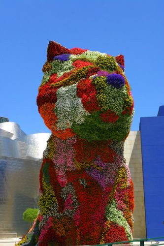 Kop van de Bloemenpuppy