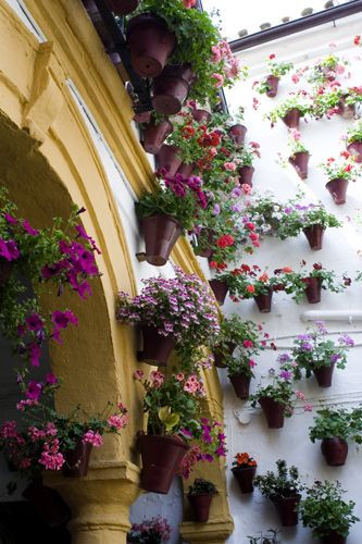 Bloemen in Cordoba