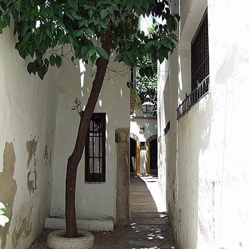 Boom in de Calleja del Pañuelo