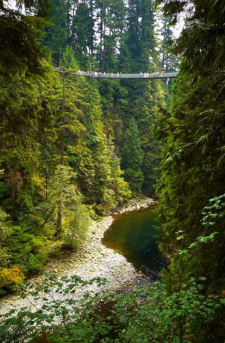 Zicht op de Capilano Suspension Bridge