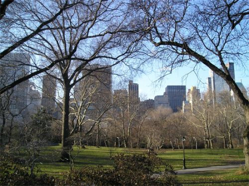 Central Park