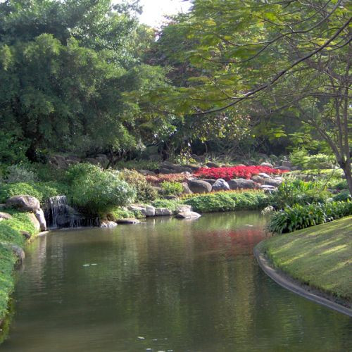 Meertje in het Chatuchak Park