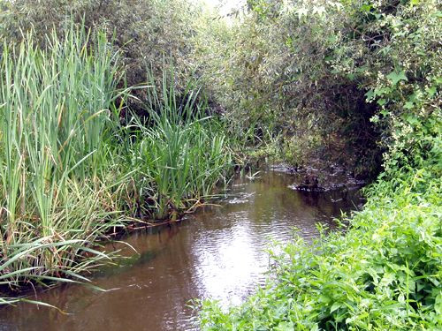 In het Chelyuskinites Park