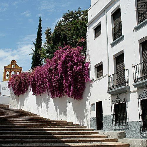 Trappen aan de Cuesta del Bailio