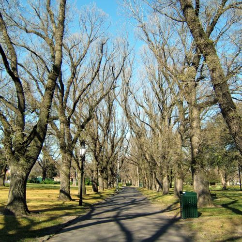 Wandelpad in Edinburgh Gardens