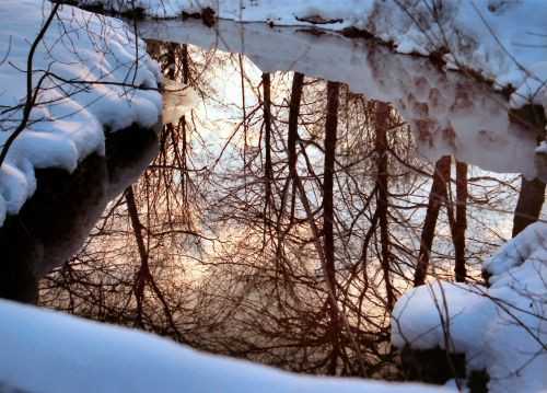 Winterbeeld in de Englischer Garten