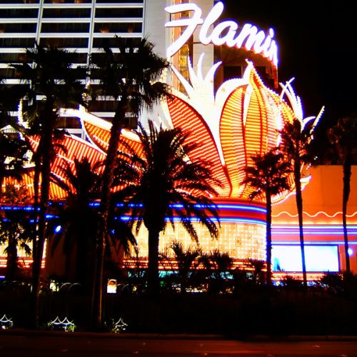 Lichten van het Flamingo Las Vegas