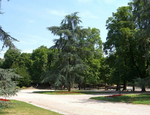 Bomen in de Giardini Pubblici