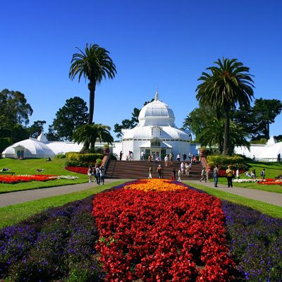 Beeld uit het Golden Gate Park