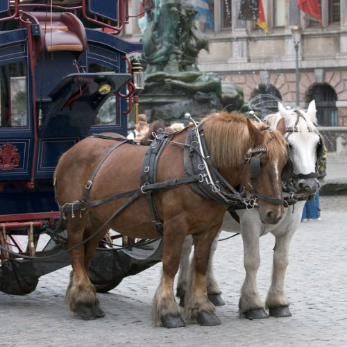 Paardenkoets op de Grote Markt