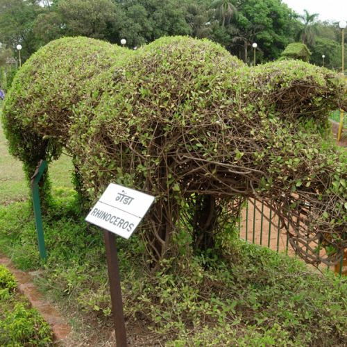 Planten in de Hangende Tuinen