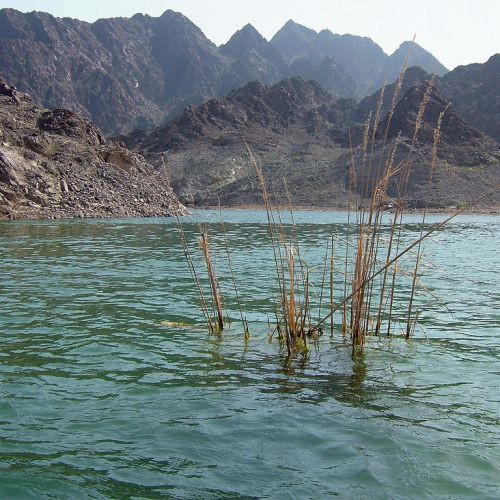 Vijver van de Hatta Rock Pools