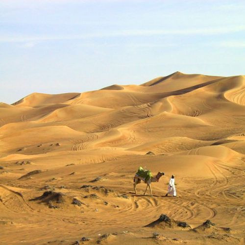 Beeld van de woestijn