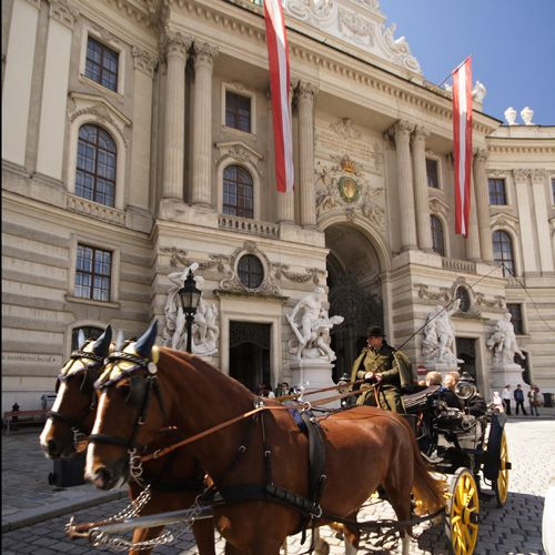 Koets voor het Hofburg