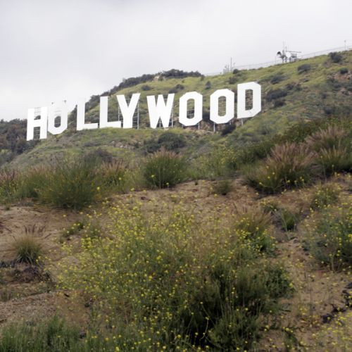 Zicht op de Hollywoodletters