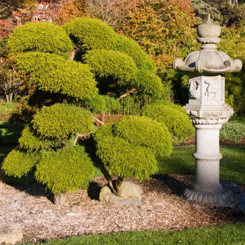 Sculptuur in de Japanse Theetuin