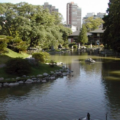 Vijver in de Japanse Tuin