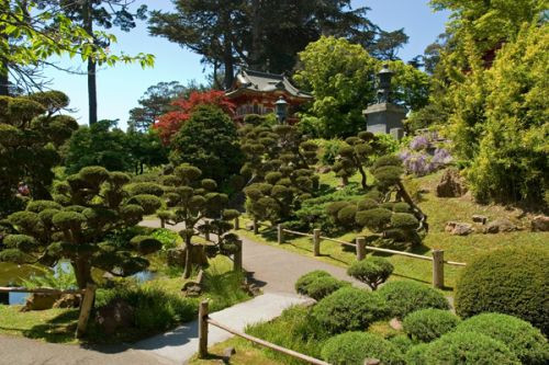 Bomen in de Japanse Theetuin