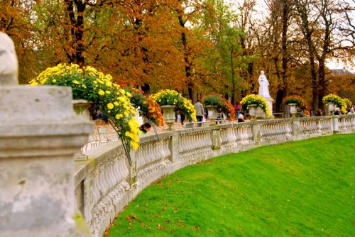 Bloemen in de Jardin du Luxembourg