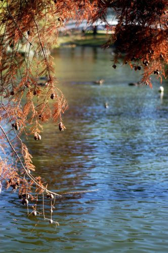 Vijver in de Jardin Public