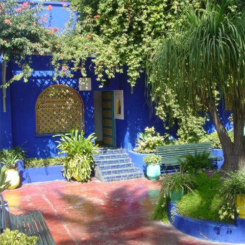 Planten in de Jardin Majorelle