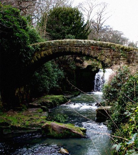 Riviertje in Jesmond Dene