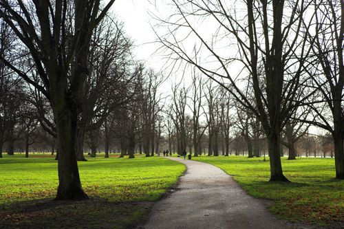 Pad in Kensington Gardens